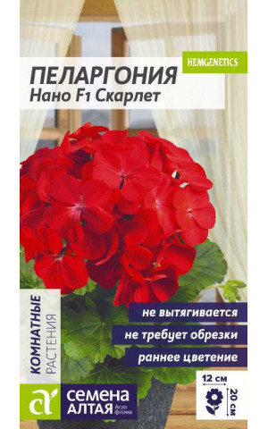 Пеларгония нано Скарлет (СА) ц/п