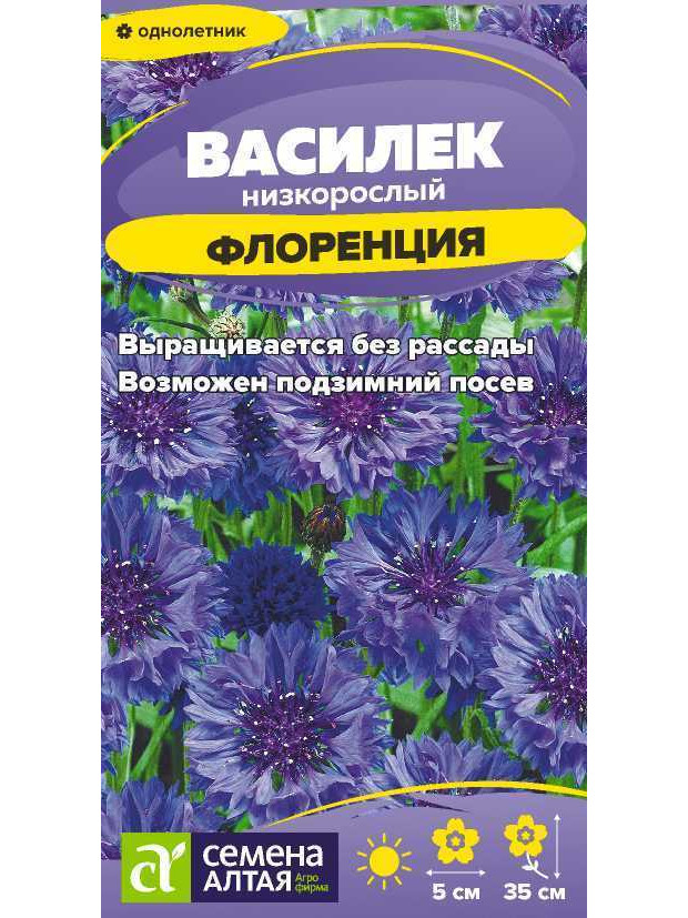 Василек Флоренция низкорос (СА) ц/п