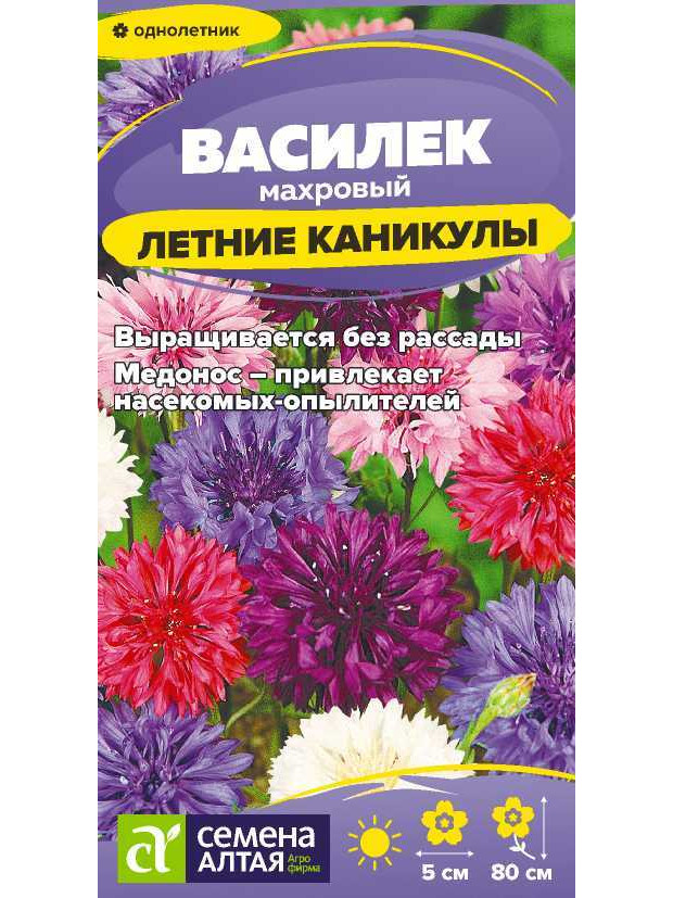 Василек Летние каникулы (СА) ц/п