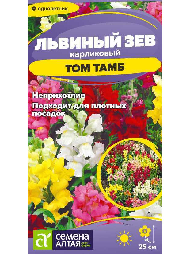 Львиный зев Том Тамб  карлик.(СА)ц/п