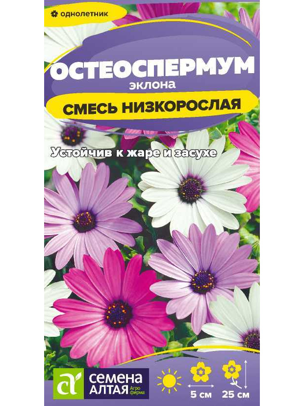 Остеоспермум смесь низкорос (СА) цп