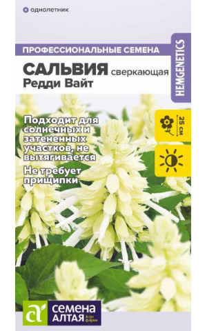 Сальвия Редди Вайт (СА) ц/п
