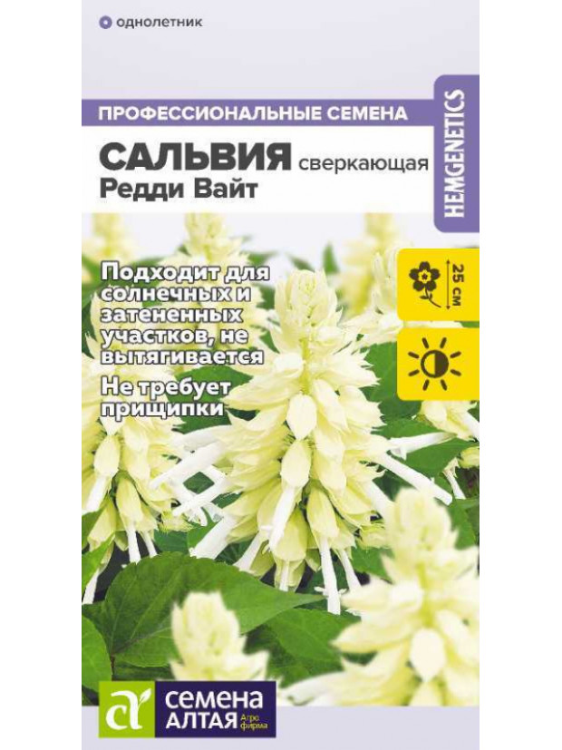 Сальвия Редди Вайт (СА) ц/п