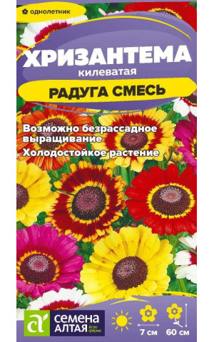 Хризантема Радуга килеватая (СА) цп
