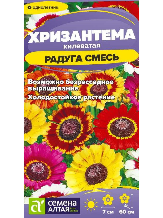 Хризантема Радуга килеватая (СА) цп