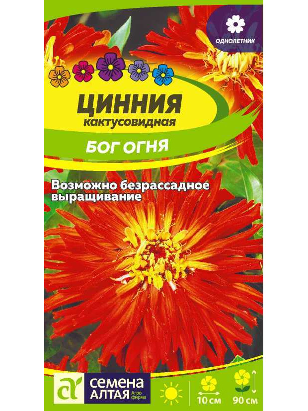 Цинния Бог Огня кактусовид (СА) цп