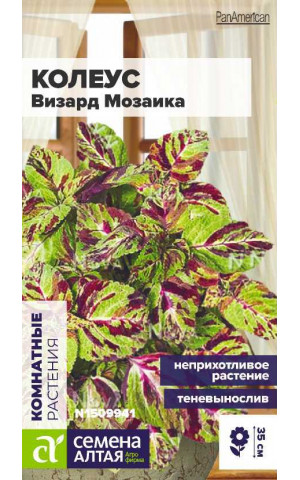 Колеус Визард Мозаика (СА) ц/п