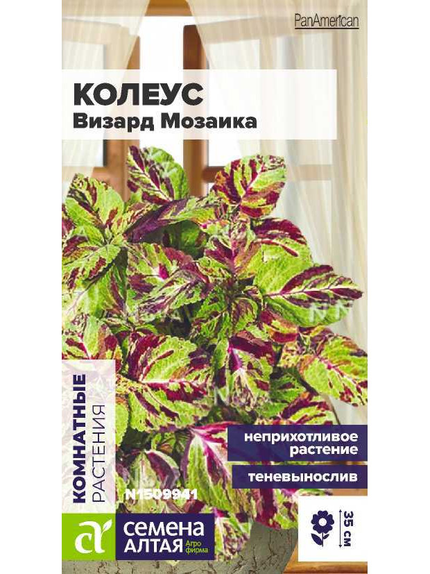 Колеус Визард Мозаика (СА) ц/п