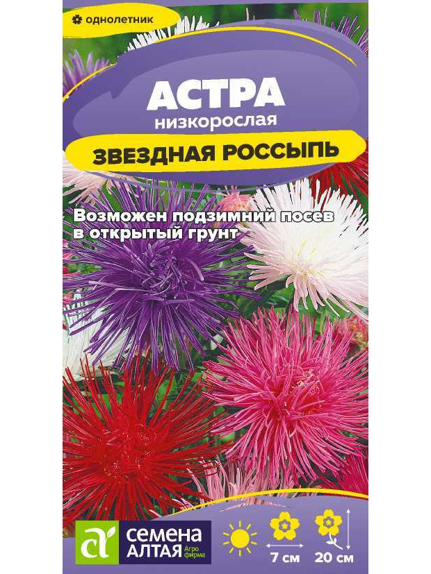 Астра Звездная Россыпь (СА) ц/п
