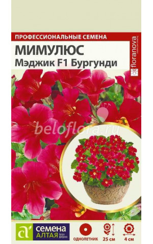 Мимулюс Мэджик Бургунди (СА) ц/п