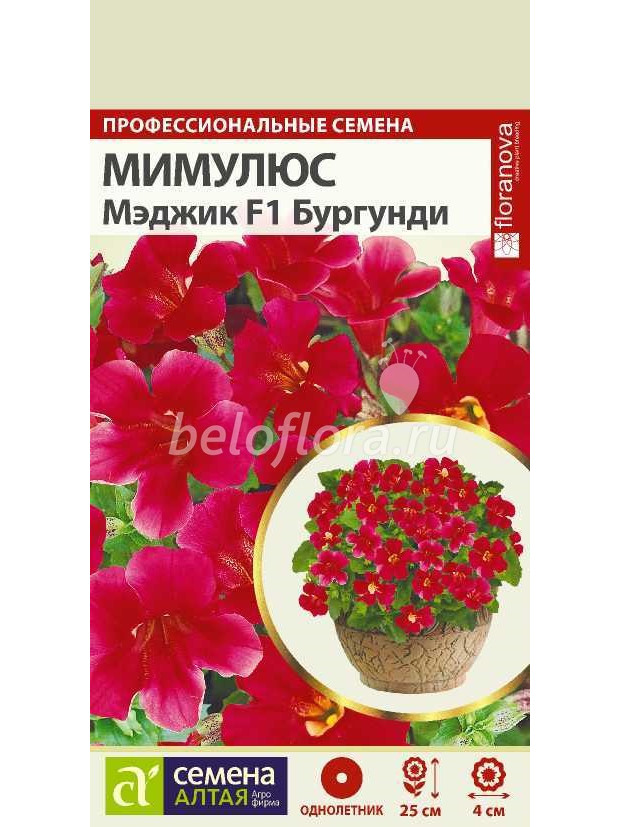 Мимулюс Мэджик Бургунди (СА) ц/п