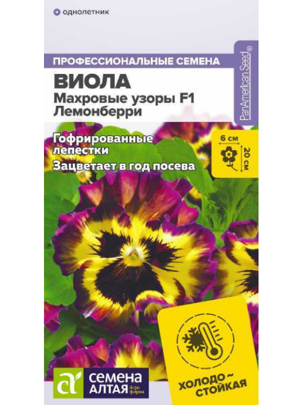 Виола Махровые узоры Лемонберри F1 (СА) цп