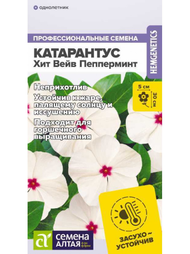 Катарантус Хит Вейв Пепперминт (СА) ц/п