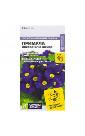 Примула Аккорд Блю шейдс (СА) цп
