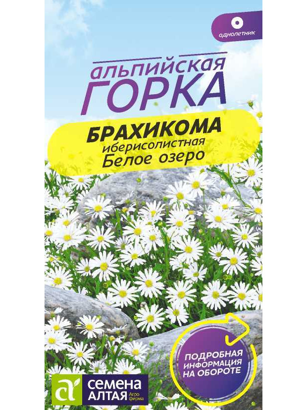 Брахикома Белое озеро (СА) ц/п