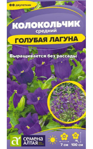 Колокольчик Средний Голубая Лагуна (СА) ц/п