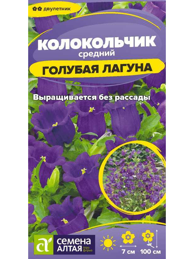 Колокольчик Средний Голубая Лагуна (СА) ц/п