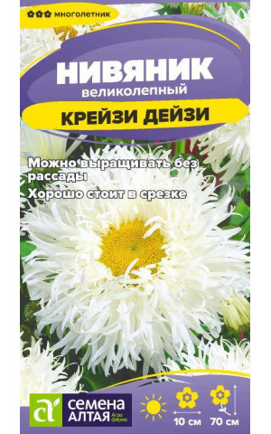 Нивянник Крейзи Дейзи многол. (СА) цп