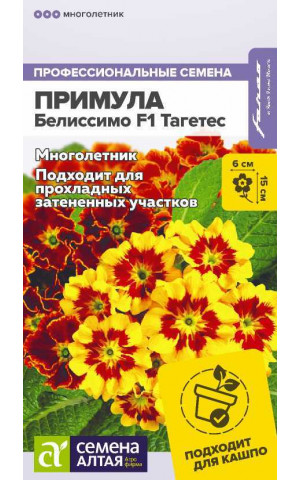 Примула Белиссимо F1 Тагетес (СА) цп