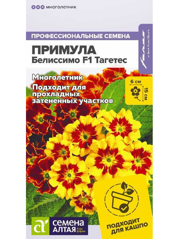 Примула Белиссимо F1 Тагетес (СА) цп