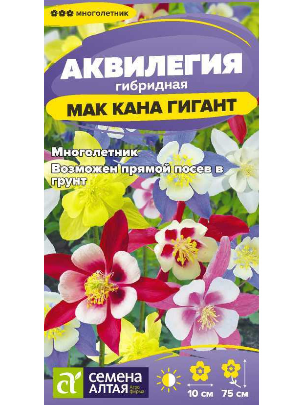Аквилегия Маккана Гигант (СА) ц/п