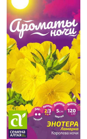 Энотера ламарка Королева ночи (СА) ц/п