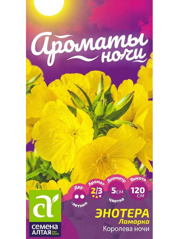Энотера ламарка Королева ночи (СА) ц/п