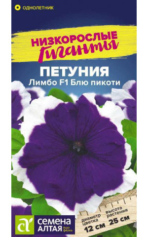 Петуния Лимбо Блю пикоти F1 карлик. (СА) цп
