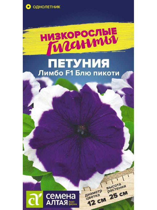 Петуния Лимбо Блю пикоти F1 карлик. (СА) цп