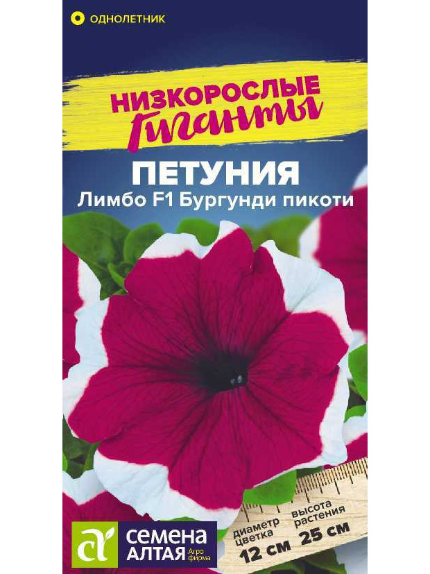 Петуния Лимбо Бургунди пикоти F1 карлик. (СА) цп