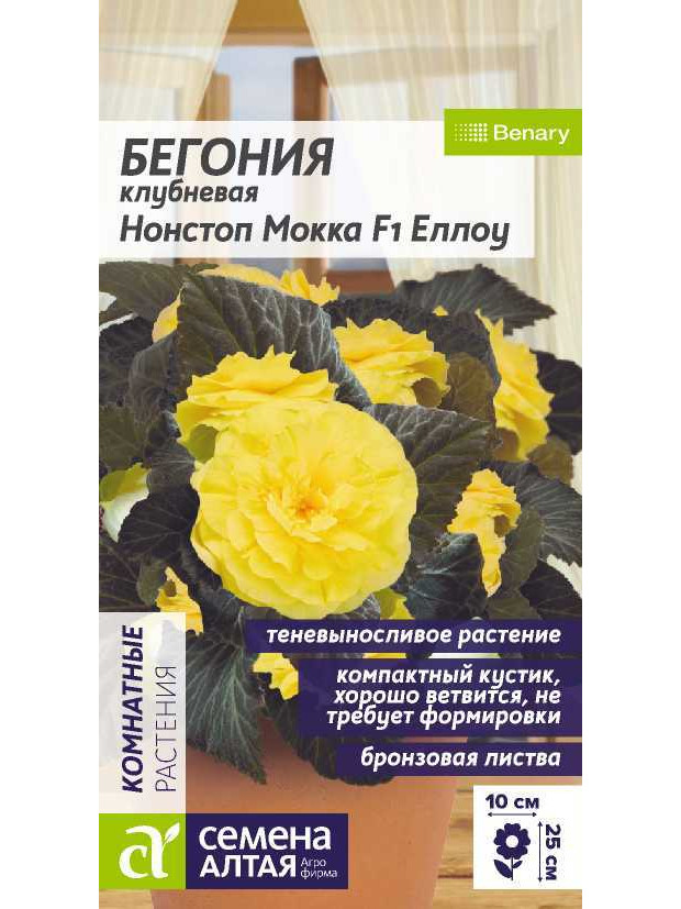 Бегония Нонстоп F1 Мокка Еллоу (СА) цп