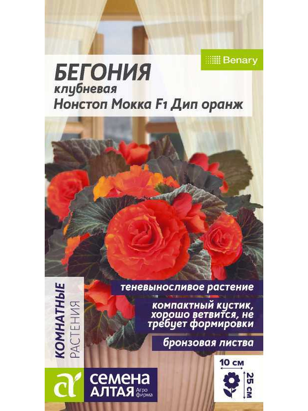 Бегония Нонстоп F1 Мокка Дип Оранж (СА) цп