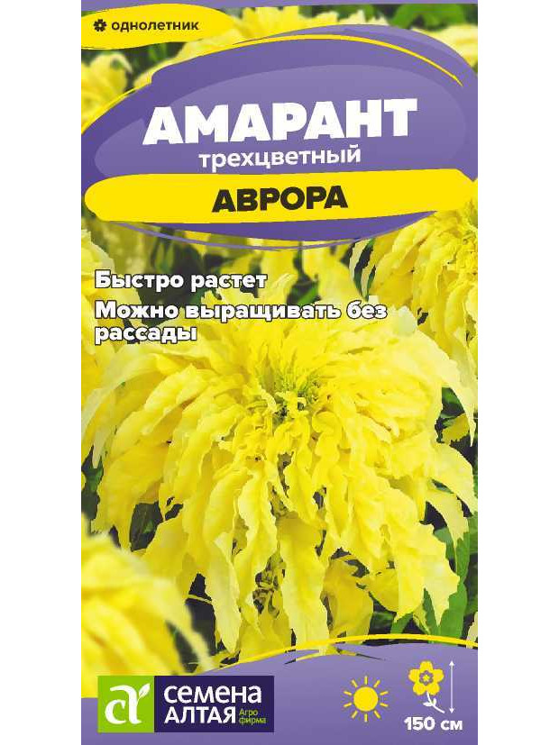 Амарант Аврора трехцветный (СА) цп