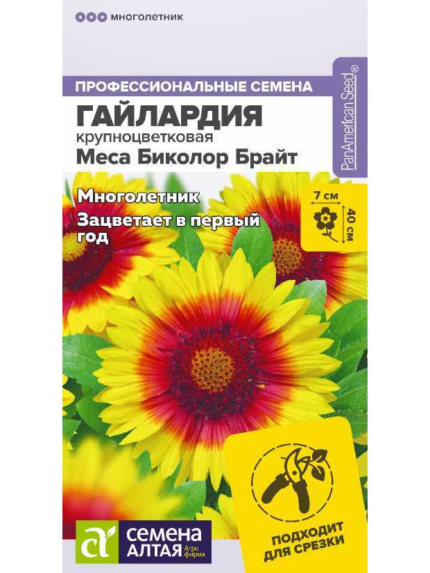 Гайлардия Меса Биколор Брайт (СА) цп