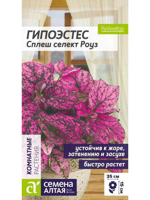 Гипоэстес Сплеш селект Роуз (СА) цп