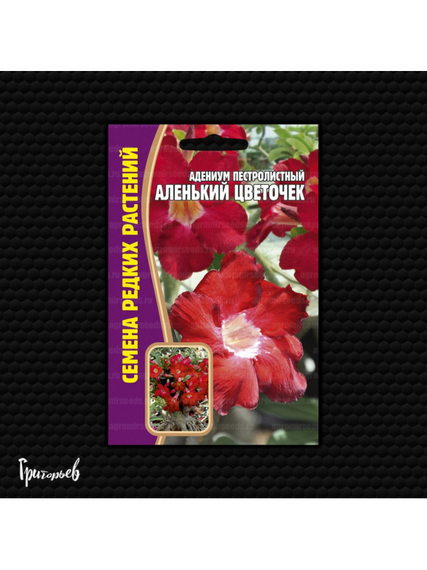 Адениум Аленький Цветочек 3 шт. (Редкие)