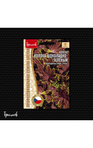 Колеус Колоча Шоколадно-Зелёный 4 шт. (Редкие)
