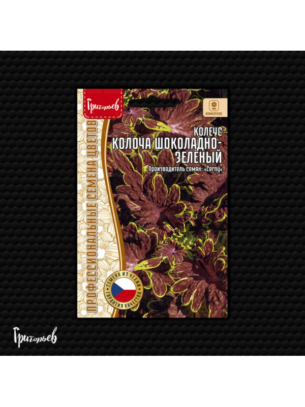 Колеус Колоча Шоколадно-Зелёный 4 шт. (Редкие)