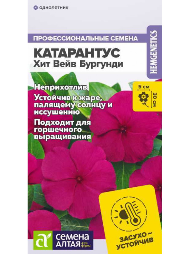 Катарантус Хит Вейв Бургунди 7 шт. (СА) цп