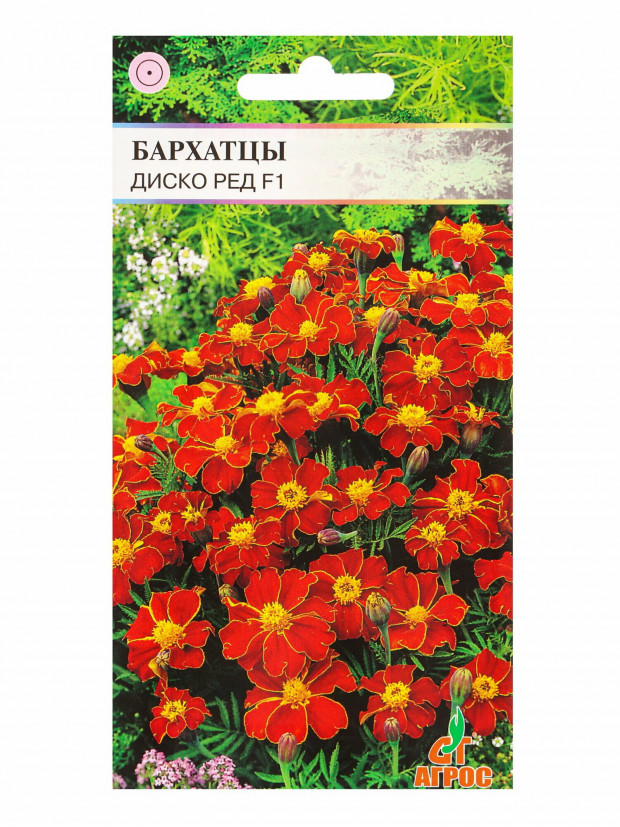 Бархатцы Диско Ред 15 шт.(Агрос) цп