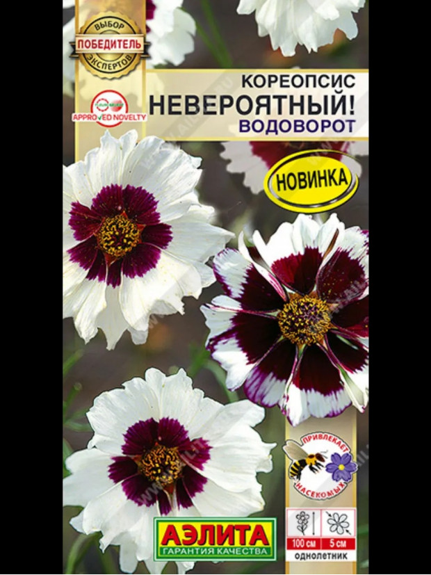 Кореопсис Невероятный! водоворот (Аэлита)