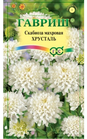 Скабиоза Хрусталь (Гавриш) цп