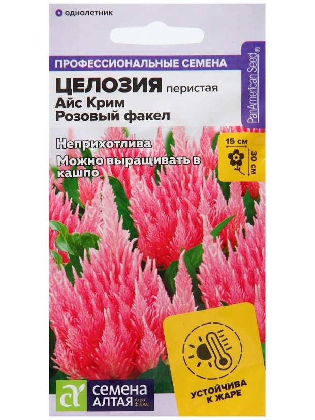 Целозия Айс Крим Розовый Факел перистая (СА) цп