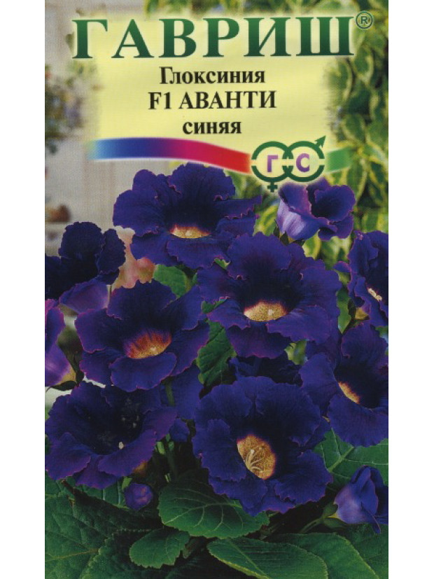 Глоксиния Аванти F1 Синяя (Гавриш) цп