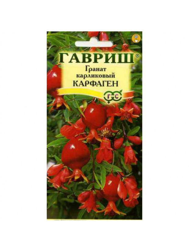 Гранат Карфаген карликовый (Гавриш) цп