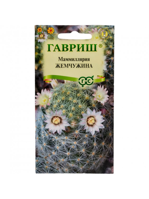 Кактусы Маммиллярия шейдвел. Жемчужина (Гавриш)