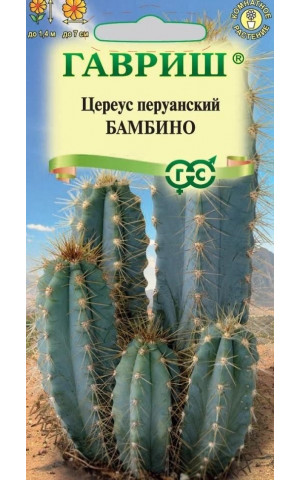 Кактусы Цереус перуан. Бамбино (Гавриш) цп