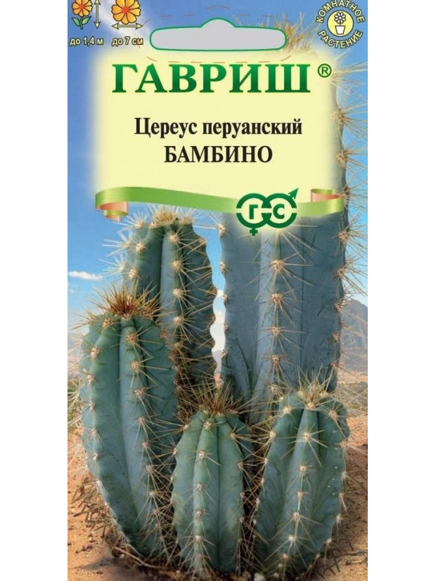 Кактусы Цереус перуан. Бамбино (Гавриш) цп