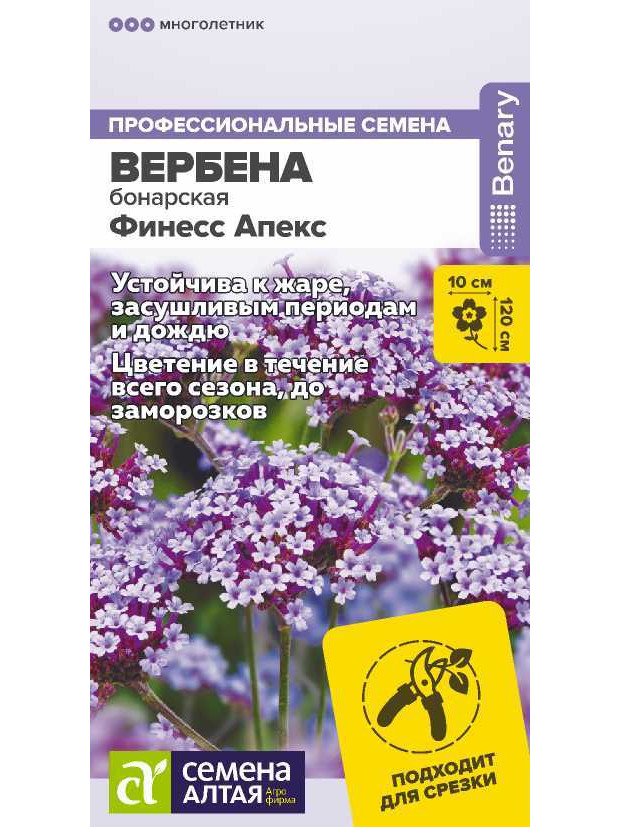 Вербена Финесс Апекс бонарская (СА) цп