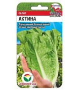 Салат Актина (Сибсад) ц/п